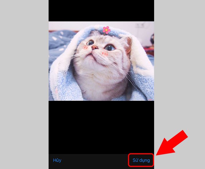 Đổi ảnh đại diện trên Tango - Các bước thực hiện trên iPhone Đổi ảnh đại diện trên Tango - Các bước thực hiện trên iPhone