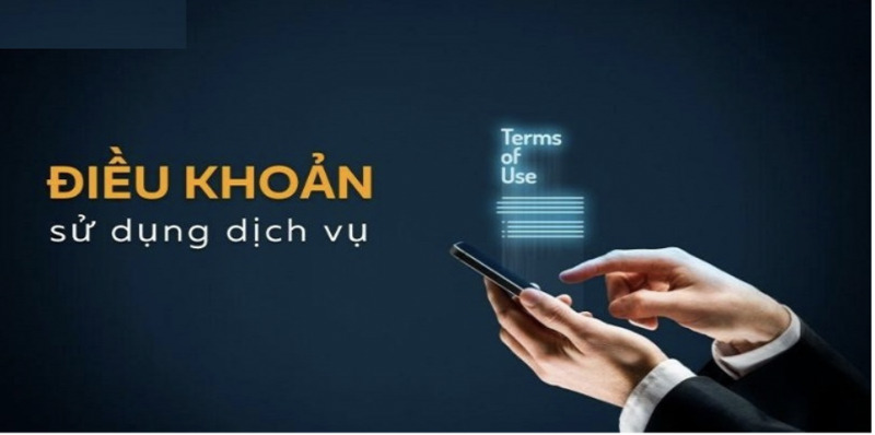 Điều khoản sử dụng - Quyền của người dùng