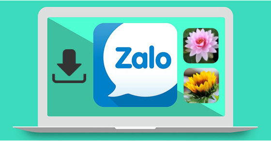 Zalo bị lỗi - Lỗi nhắn tin, gọi điện, gửi ảnh/file không thành công